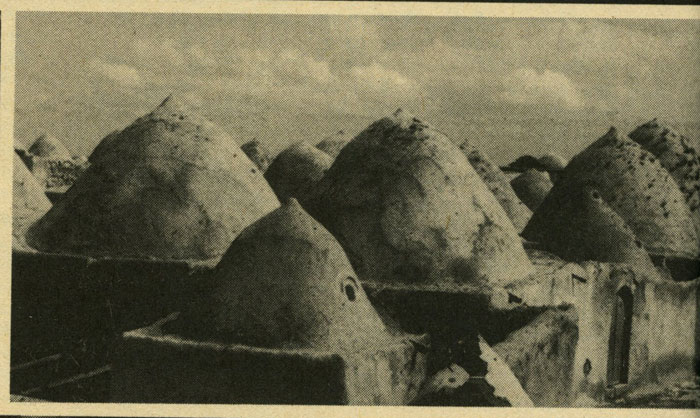 Read about different homes around the world such as these clay domes.